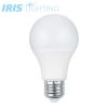 Iris Lighting E27 A65 15W/4000K/1380lm LED fényforrás